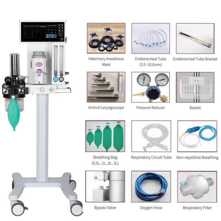 Top Selling Derry Petcare Portable Vet Surgical Equipment Animal Veterinary Instrument Anesthesia Machine