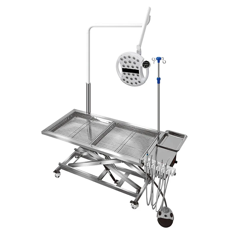 High Quality Large Dog Pet Grooming Table Pet Electric Veterinary Operating Desk