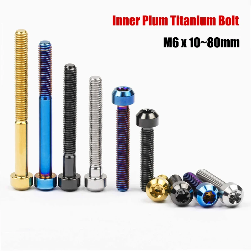 Titanium Ti Bolts M6 x 10 15 20 25 30 35 40 45 50 60 65 70 80mm Torx Inner Plum Blossom Screw Motorcycle Modification Screw