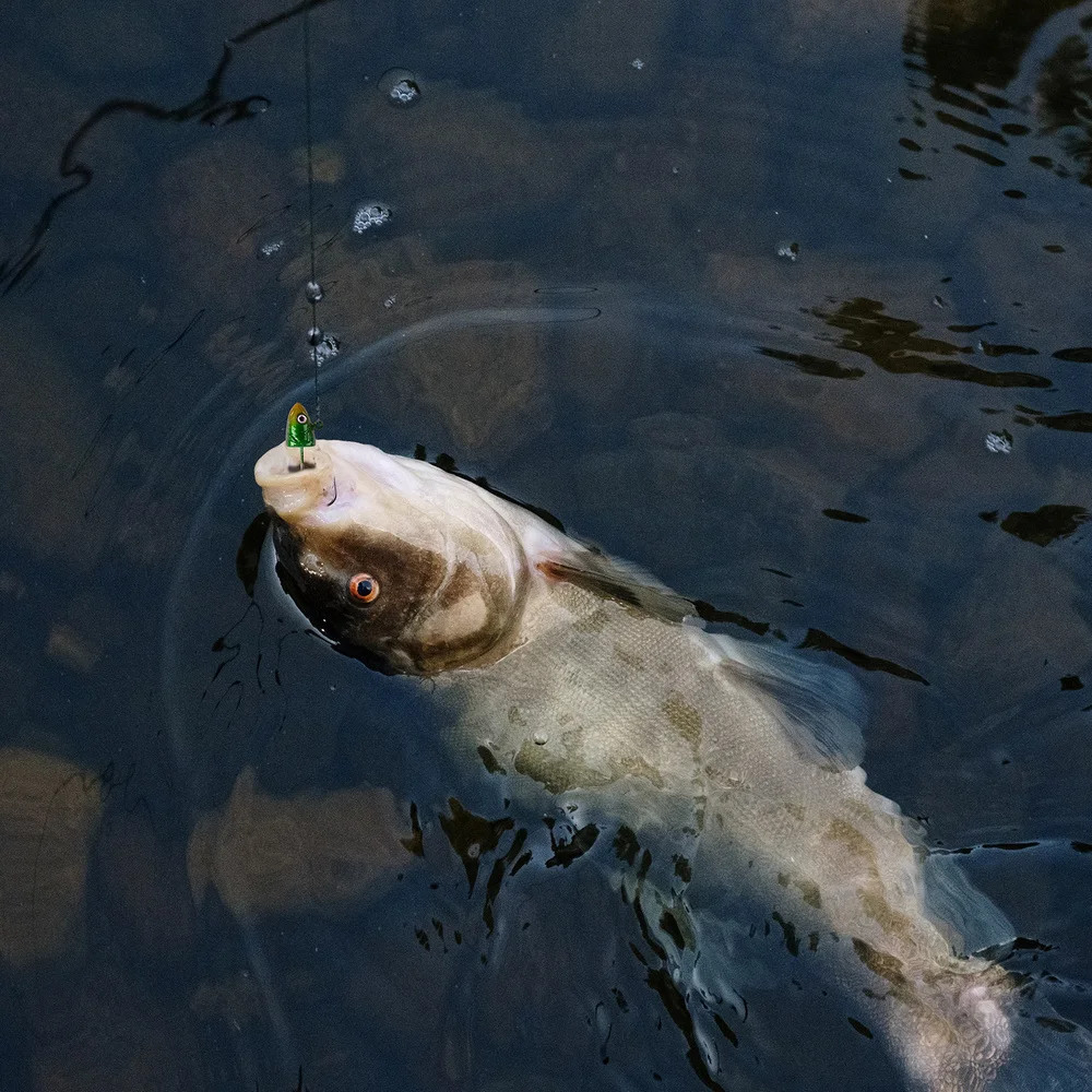 Рисунок 6 - рыболовные крючки из высокоуглеродистой