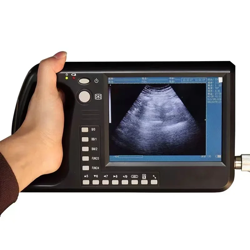 

Pig sheep cattle horse pet B ultrasound machine veterinary high definition testing machine pig diagnostic instrument touch