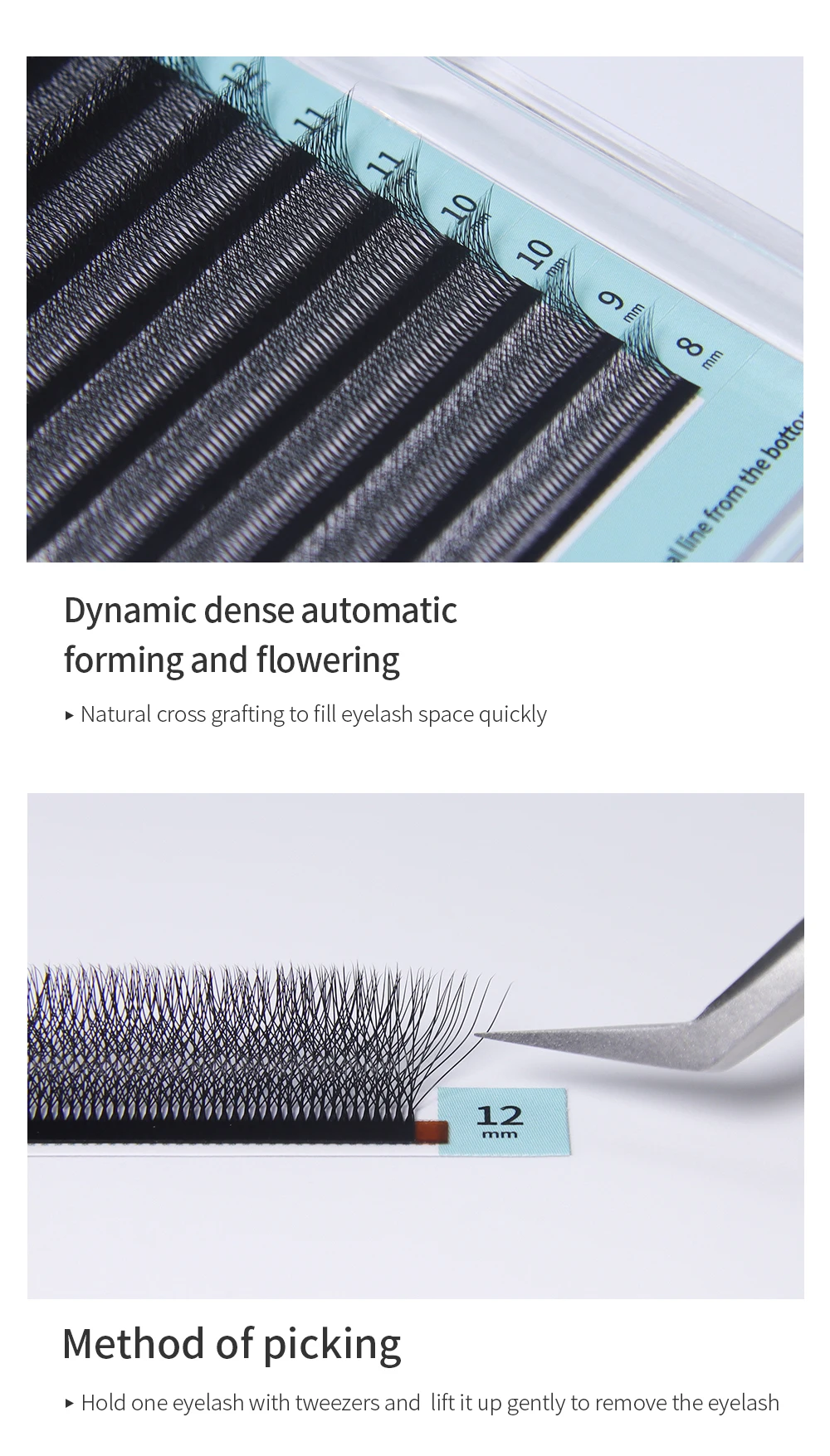 GLAMLASH 7D-W-förmige Wimpernverlängerung, C/D/L/LU/M, vorgefertigte Volumenfächer, Clover W-Style-Wimpern, falscher Nerz, weich, leicht fächernd, natürlich – Detail 5