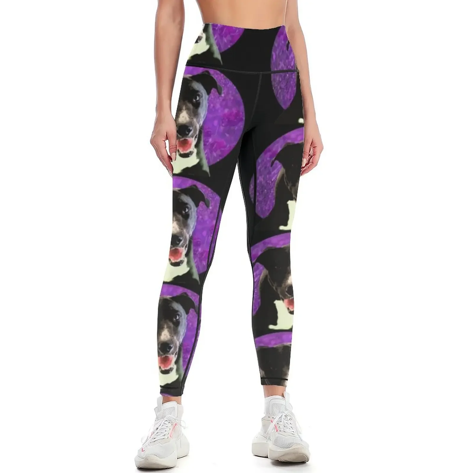 

Bella Bella Leggings sports shirts gym Training pants Leginsy push up gym top Womens Leggings