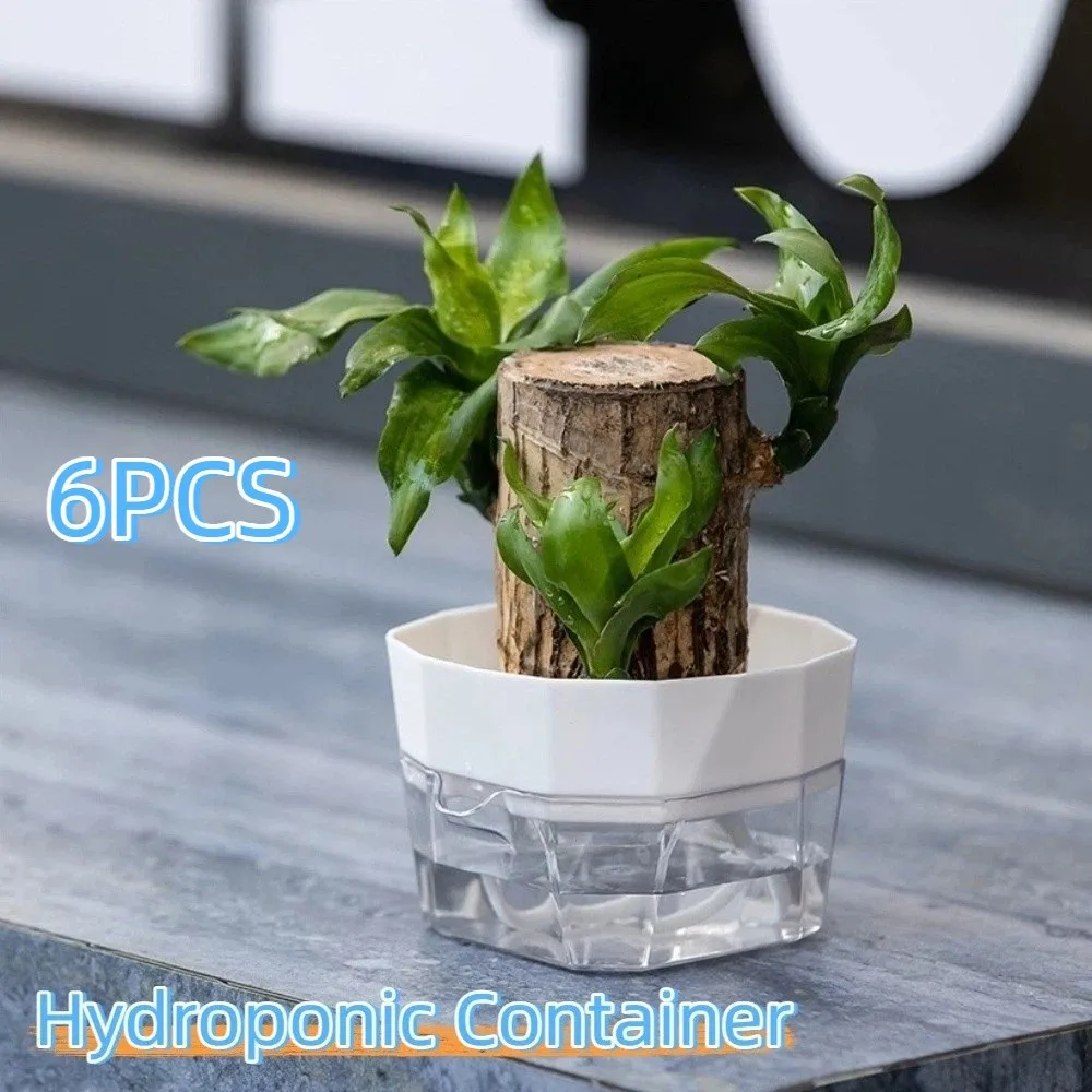 

6PCS Root Visibility Hydroponic Container Eco-Friendly Water Storage Self-Absorbing Flower Pot Plastic Lazy Flowerpot