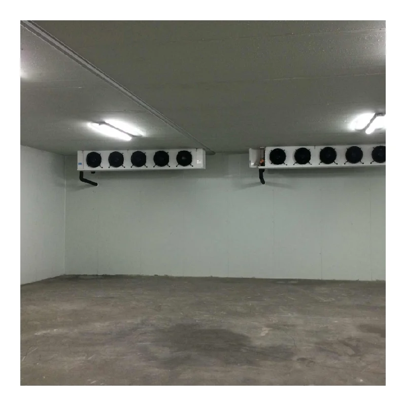 Maßgeschneiderter Industriekühler, Gefrierschrank, Lagerung, Transport, Kühlraum, Gefrierschrank, Walkin-Kühler, Direktverkauf ab Werk