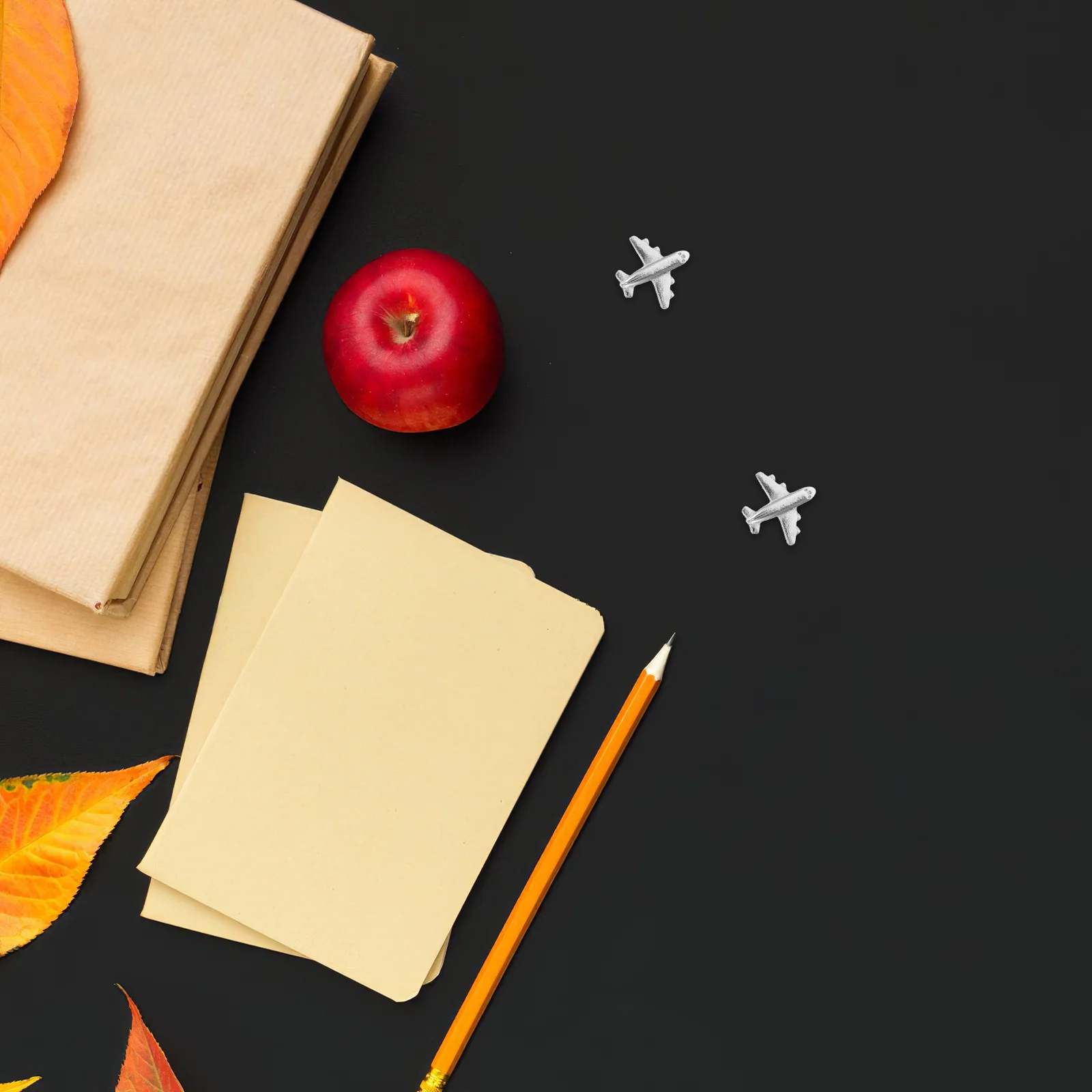 

24Pcs Airplane Shaped Metal Push Pins Silver Decorative Tacks for Bulletin Board Wall Hangings Travel Maps Crafts Home Office