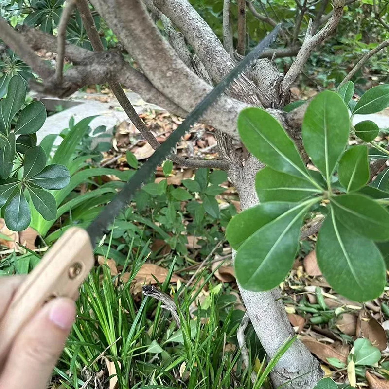 Sega a mano per uso domestico, cartellone, coda di pollo, seghe a foro piccolo, cartongesso, taglio, legno, plastica, ramo di un albero, innesto di attrezzi da giardino