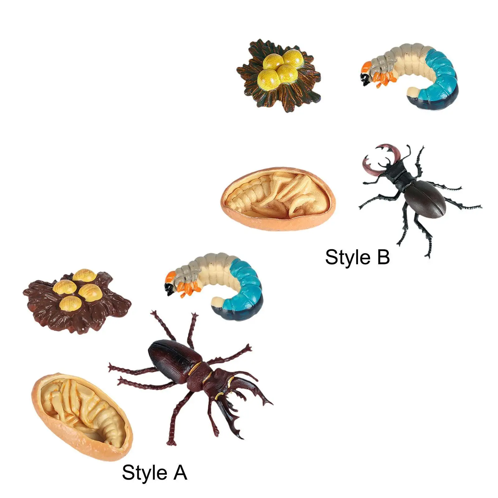 Wormmodel, Multifunctioneel Educatief Speelgoed, Wormversieringen, Educatief Speelgoed Set