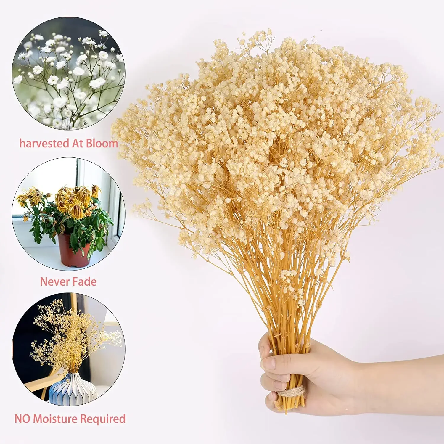 100g Dried Flowers Baby Breath Preserved Flowers Gypsophila Bouquet Boho Home Decor Colorful Gypsophile Wedding Party Decoration