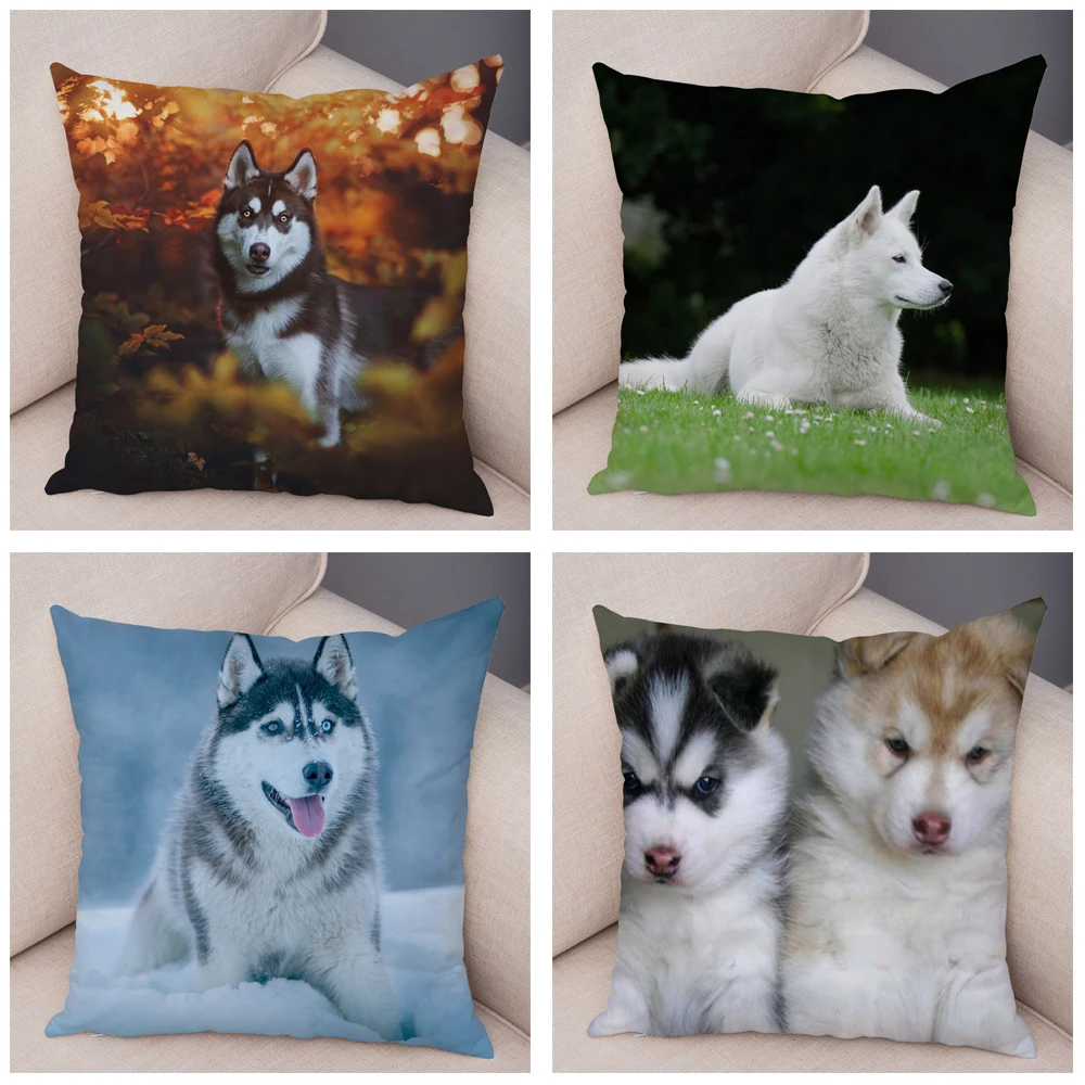 Decor Cute Siberian Husky Pillowcase Pet Dog Printed Super Soft Short Plush Pillow Case 45*45cm Animal Cushion Cover for Sofa