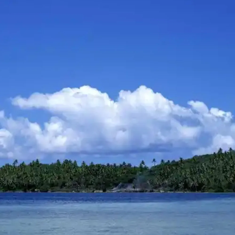 

Для HP 972 973 974 975 97U СНПЧ Система непрерывной подачи чернил для HP PageWide 352dw 377dw 452dn 452dw 477dn 477dw 552dw Без чипа