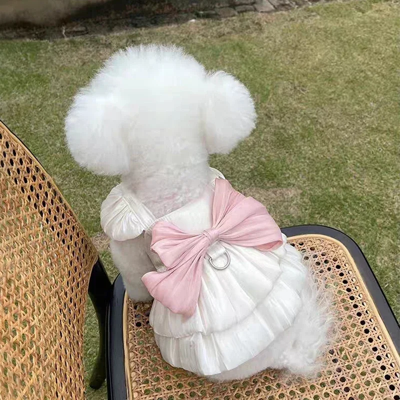 Wedding Dress Skirt for Pets Summer Thin Bear Teddy  Dress with Leash Buckle Princess Style Dog Clothes Raincoat