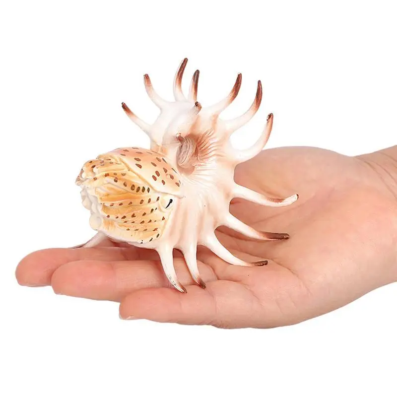 Marine Animal Toys Realistic Nautilus Models for Children Decorative Learning Toy for Boys Girls Marine Animal Decor for Holiday