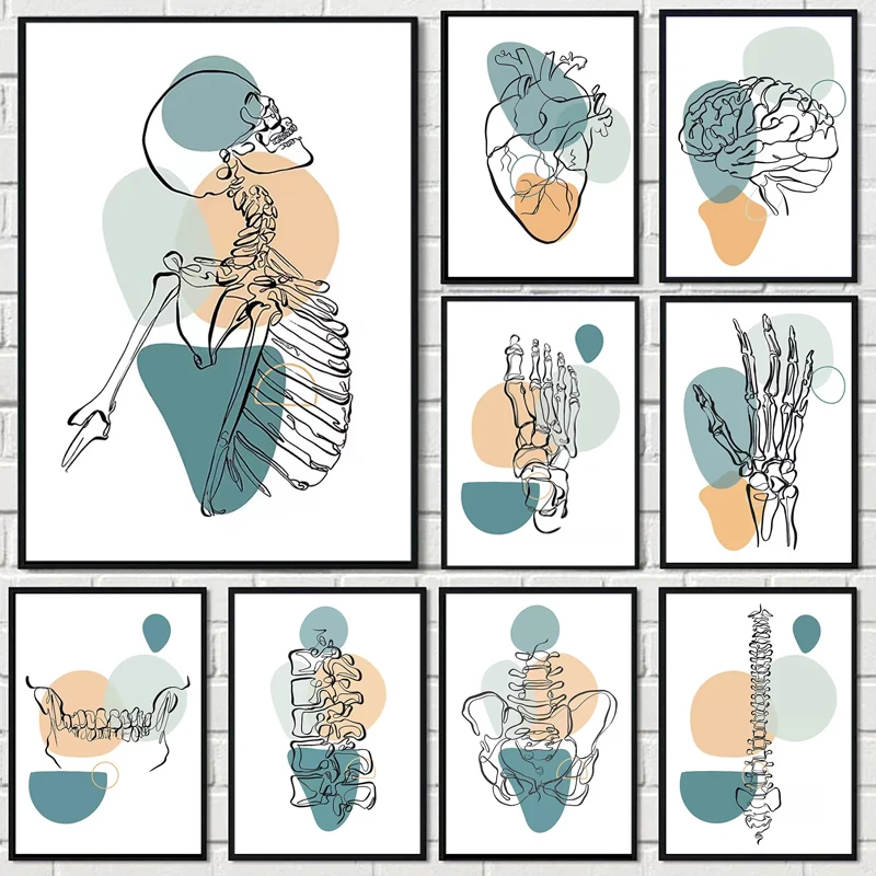 1pc frameless Canvas Abstract Medical Anatomy Heart Teeth Skeleton Wall Art Canvas Painting Nordic Posters And Prints Wall Pi