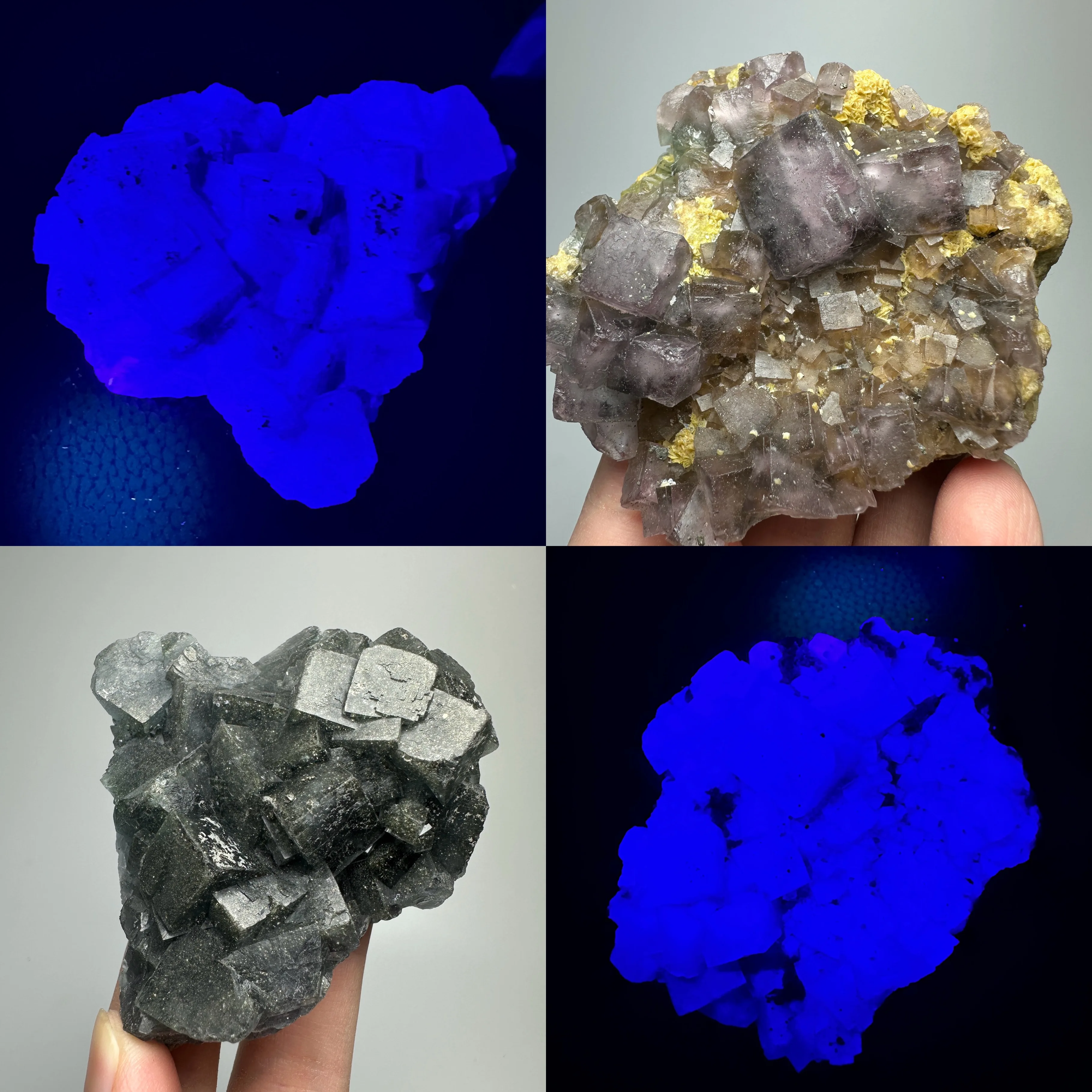 Daylight Fluorescent Fluorite Cluster Raw Healing Crystal Natural UV Reactive Fluorite Mineral Specimen Collection Home Decor