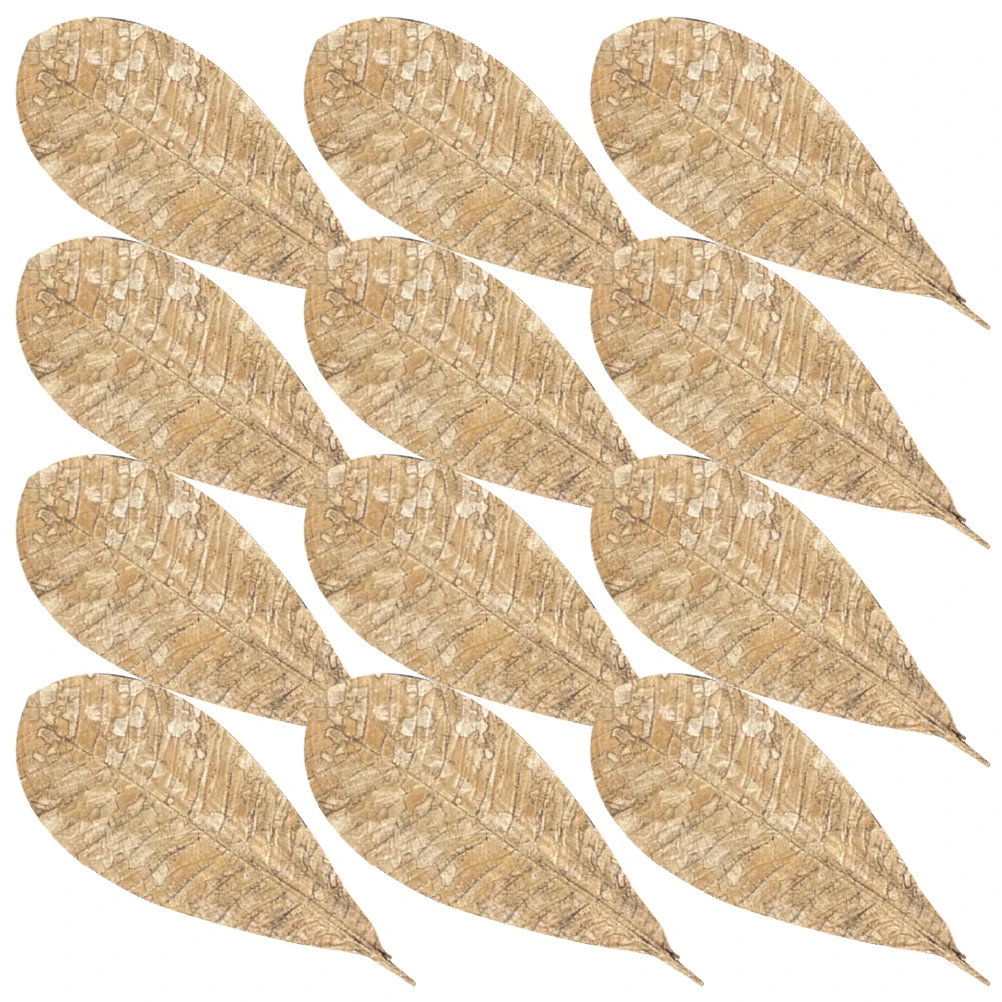 

20pcs Dried Slab Leaf Pad Decoration Sushi Tray Japanese Food Dish Serving Natural Embellishment Elegant Tray Accents For