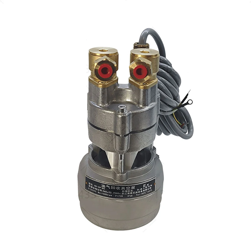 220v Oil and Gas Recovery Variable Frequency Vacuum Pump, 72w Drive Gas Station Electric Pump