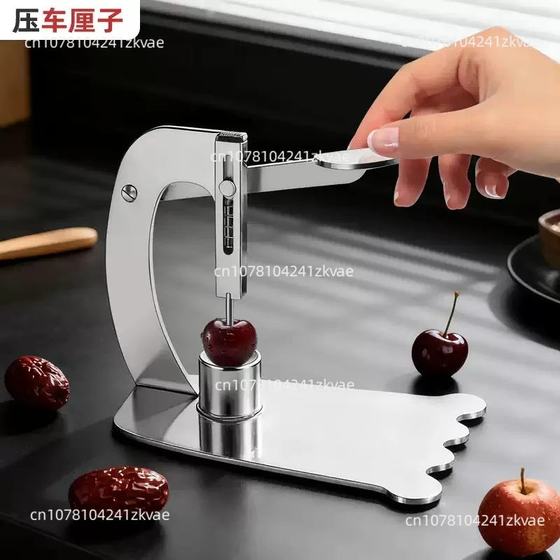 Stainless Steel Fruit Seed Remover, Core Pitter For Jujube Hawthorn Longan Olive Fruit