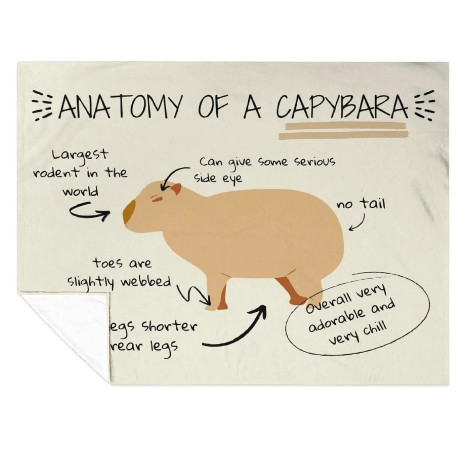 

Anatomy of a capybara Throw Blanket Heavy decorative for winter Bed Blankets