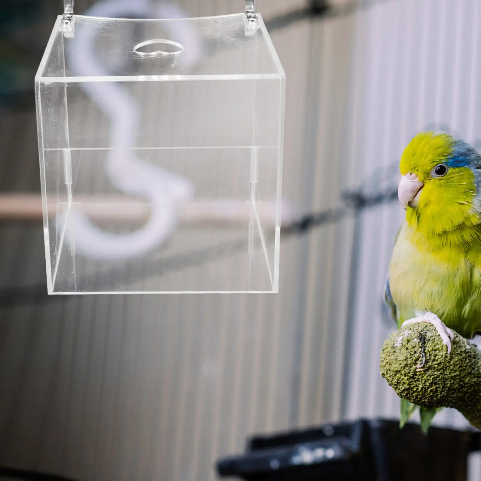 Parrots Bath Cube Transparent Hanging Bird Bathtub Shower Box Cage Accessory Bathing Moisturizes Skin Heat Dissipation
