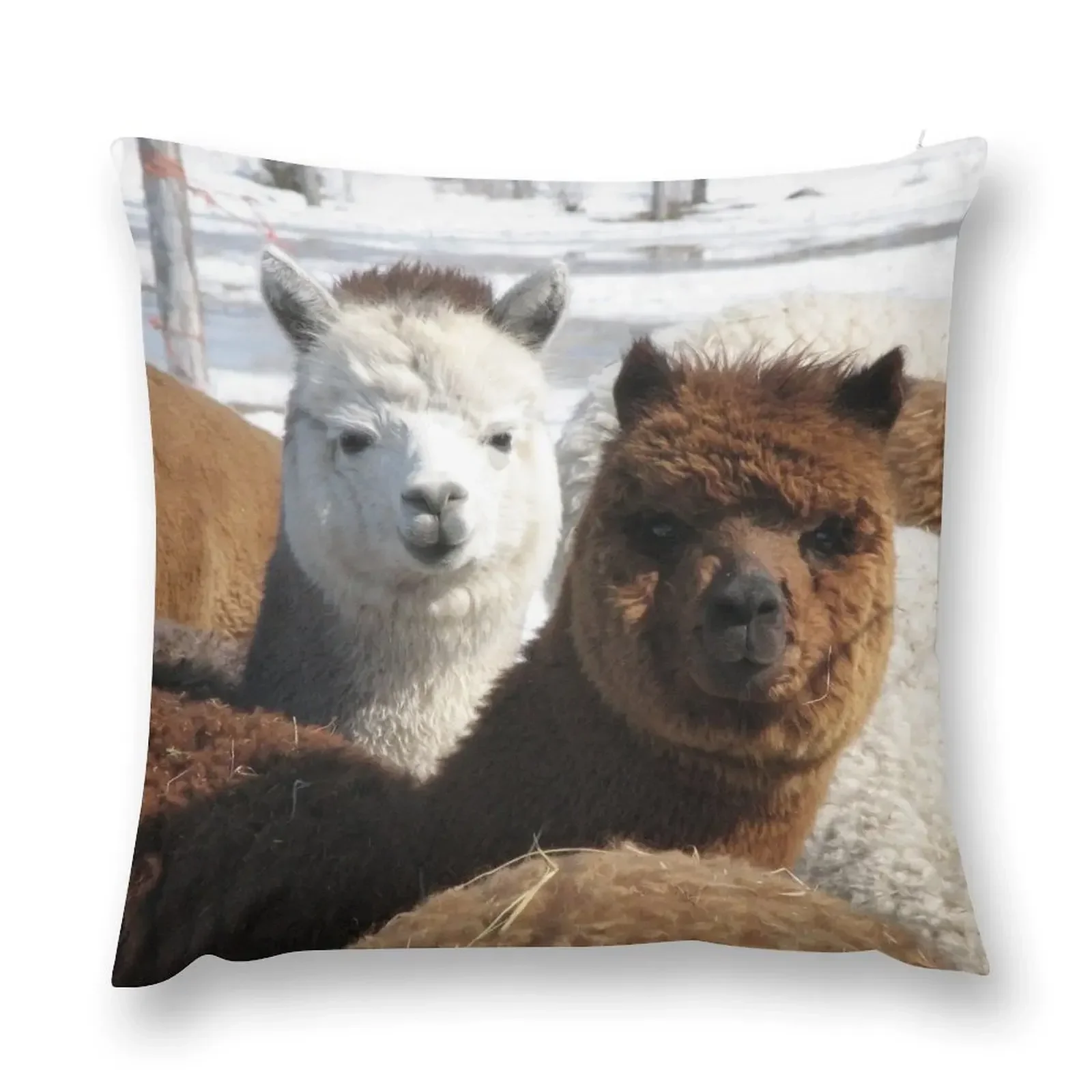 

Alpacas Throw Pillow Decorative Cushion Cover Couch Cushions Decorative pillowcase Pillow Case pillow