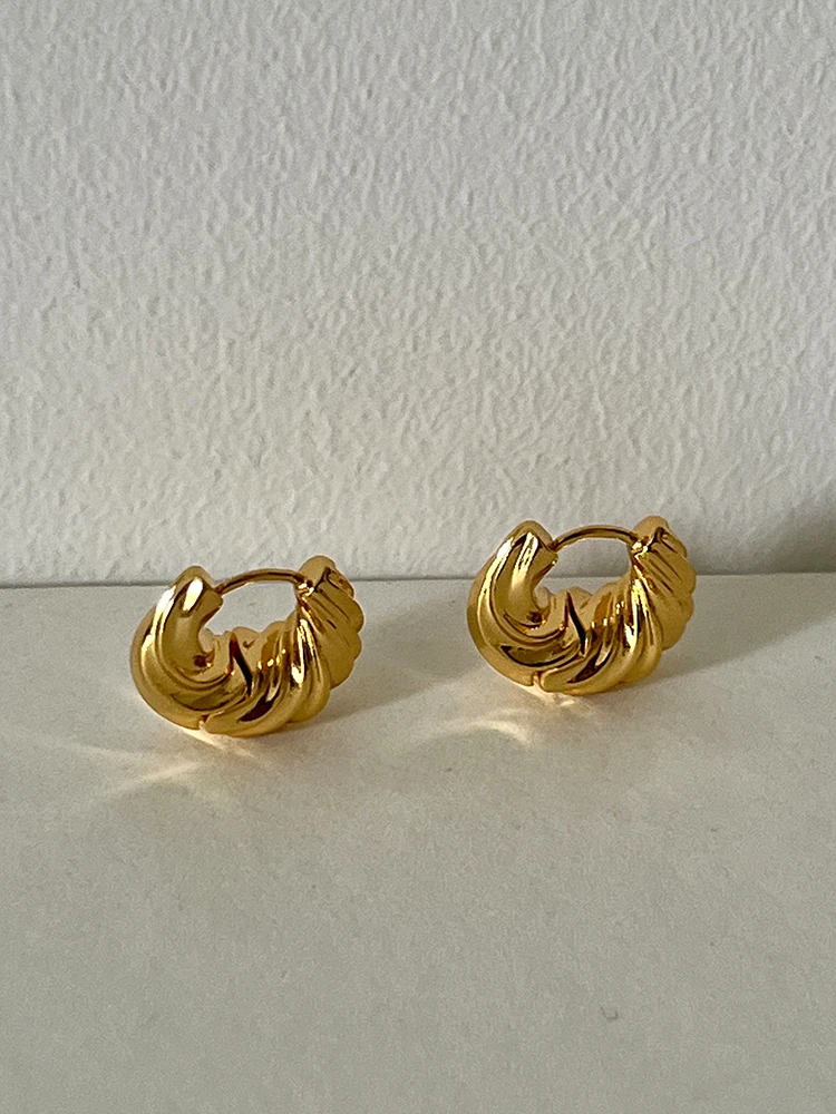 

Brass With 18K Twist Small Size Hoop Earrings Punk Party Gown Runway Boucle d'oreille Korean Japan Style Fashion