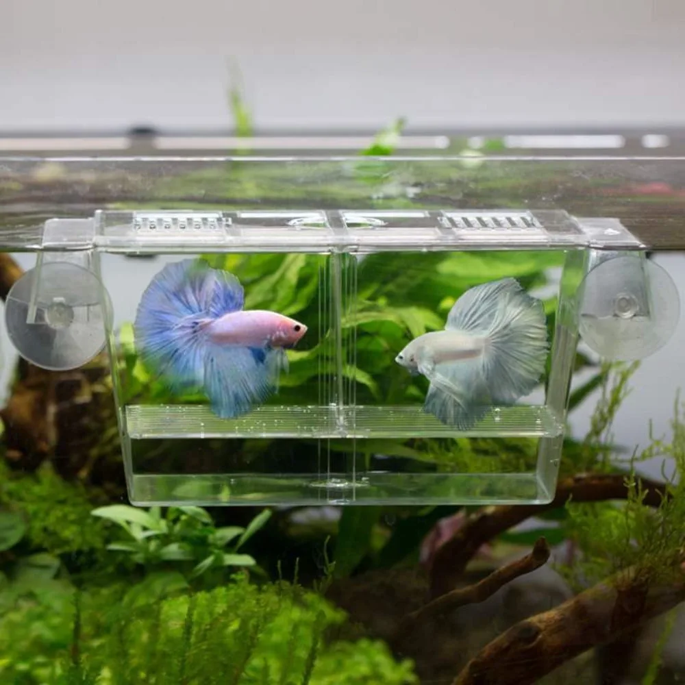 New Acrylic Fish Tank Breeding Incubator Grow Seedling Reproduction Holder Breeder Isolation Box Aquarium Fish Fry Aquarium