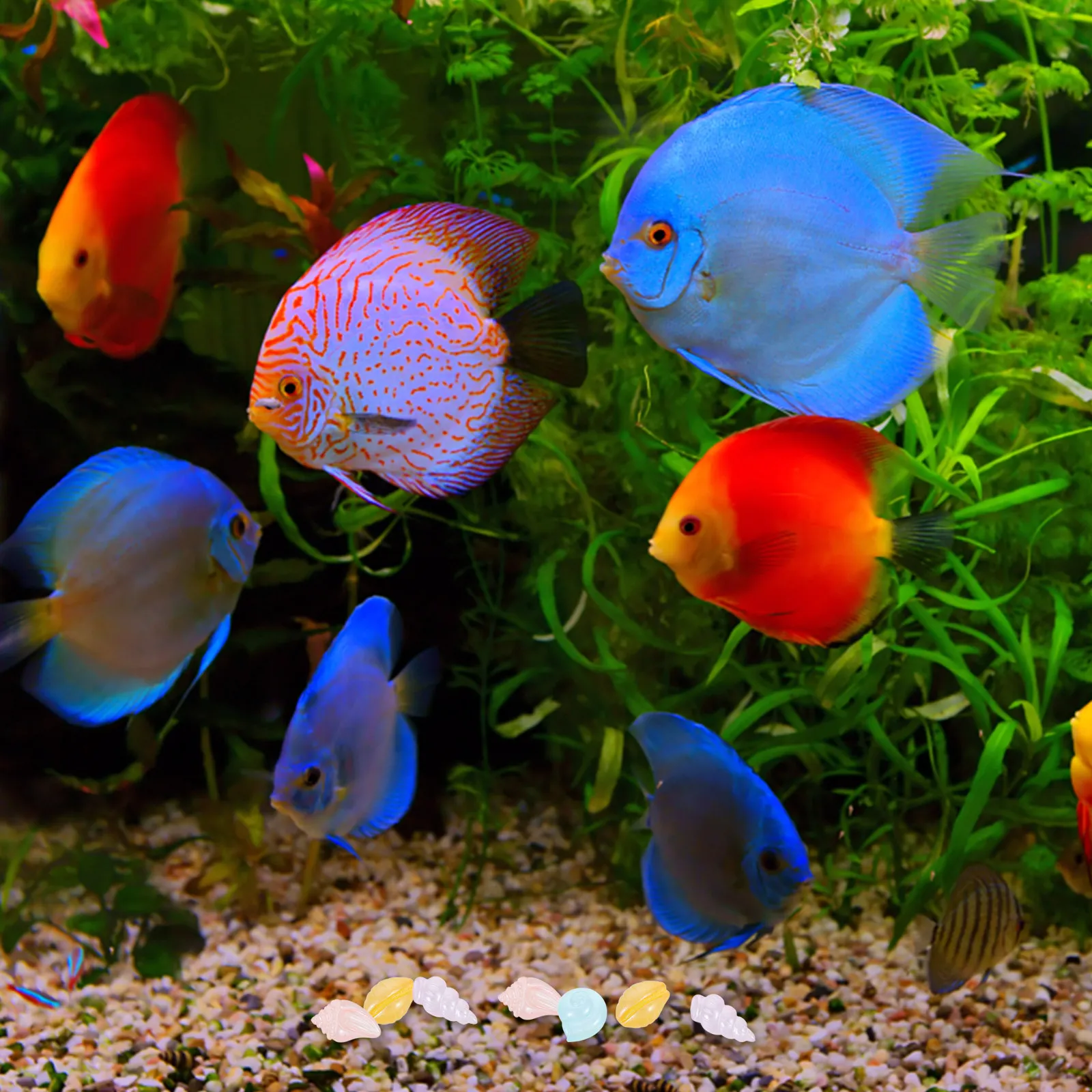 20Pcs Mini Resin Ocean Animals Set Marine Animal Statues Aquarium Decoration Desk Nightstand Office Home Decor Tiny Sea Creature
