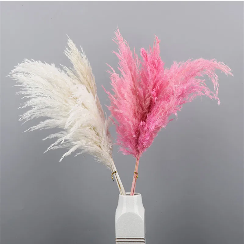 

Pink,White,Primary Color Small Pampas Grass , Reed Grass And Rabbit Grass Real Natural Dried Flowers Wedding Room Decortion