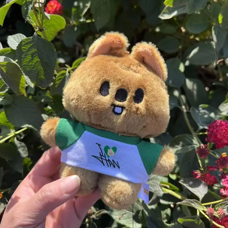 Skzoo figura dos desenhos animados boneca de pelúcia coreano wolfchan leebit dwaekki hanquokka jiniret bbokari acompanhando bonecas fã presente brinquedo