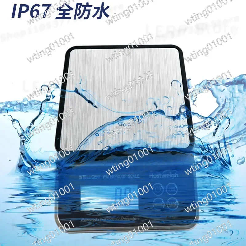 for Household Waterproof Kitchen Electronic Scale High Precision 0.1g for Roasted Coffee Small Precise Gram Weight