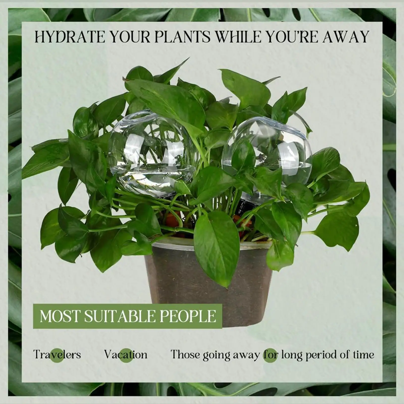 500ML Automatic Drip Irrigation System Self Watering Plant Watering Bulbs for Garden Flower Plants Watering Balls Devices