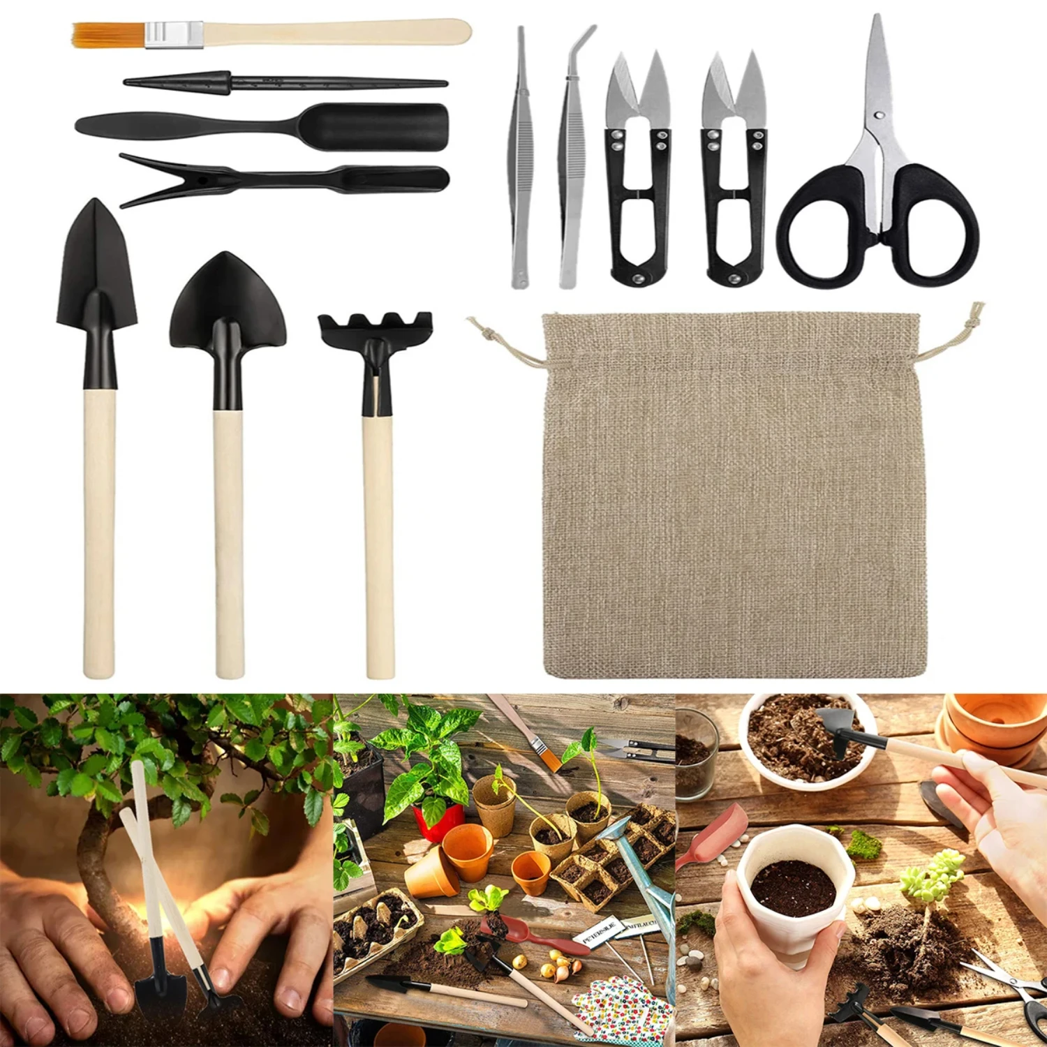 Ideal for succulent enthusiasts, this high-quality premium 13-piece succulent transplanting and care tools set is essential for 