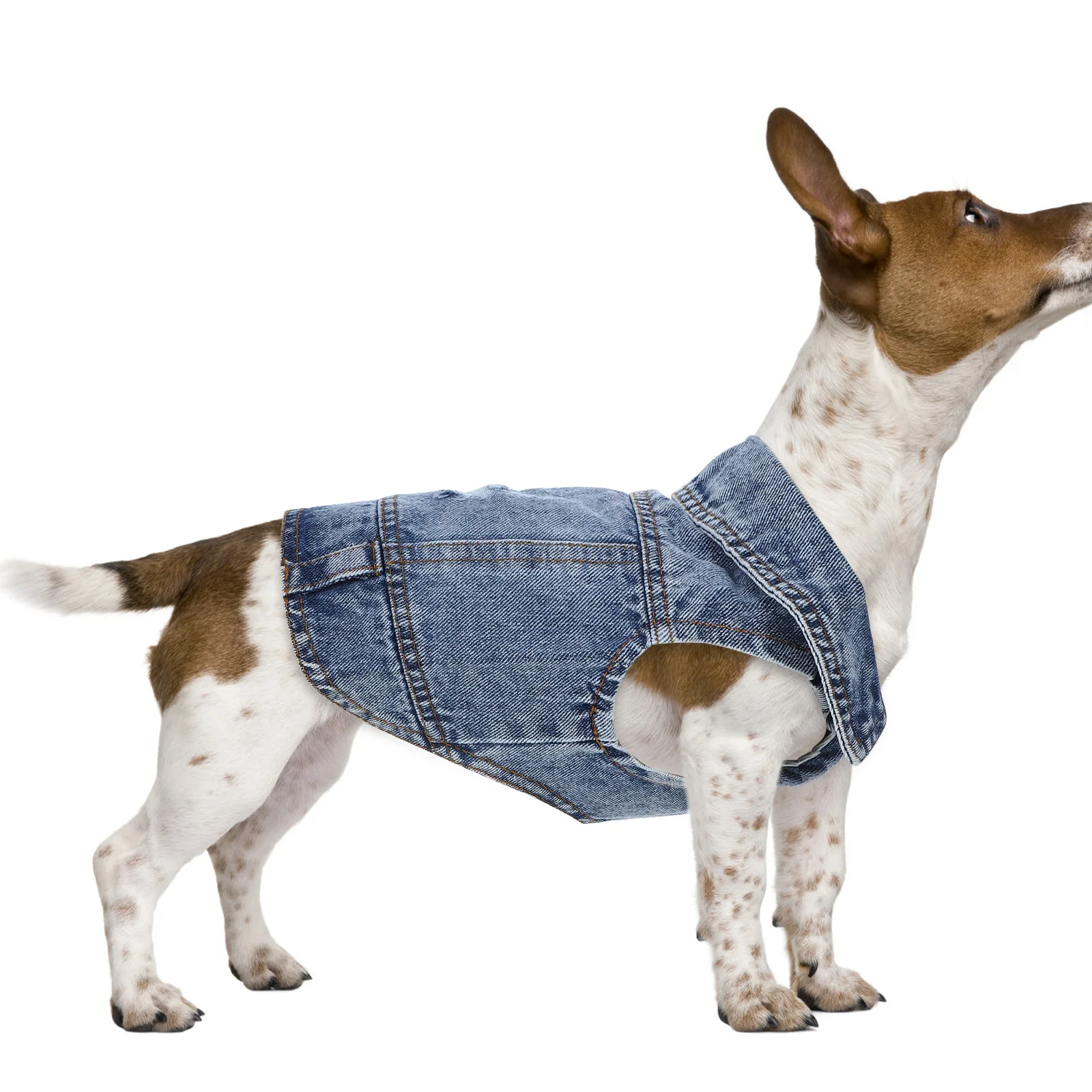 

Pet Dog Vest Denim Dog Vests For Small Dogs Chihuahua Puppy Retro Jeans Style Lapel Collar Button Closure All Season