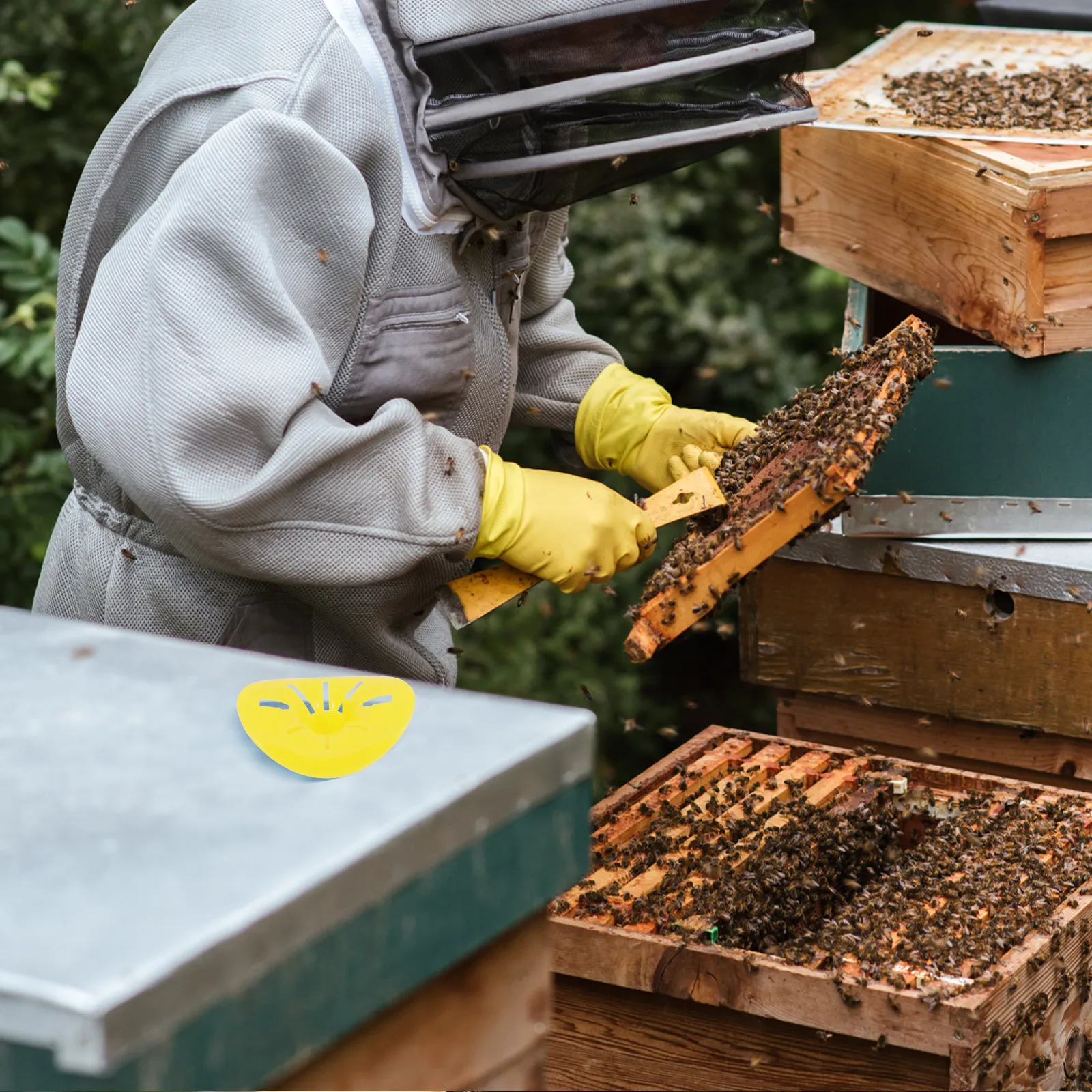 

Комплект из 6 прочных пластиковых конусов для входа/выхода из улья, ярко-желтые, для повышения эффективности пчелиного улья