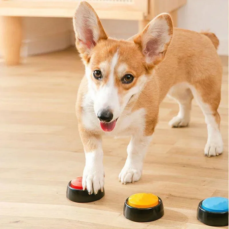 Pet Sound Box Recordable Talking Button Cat Voice Recorder Communication Supplies Training  Squeeze Dog Toys Puppy Accessories