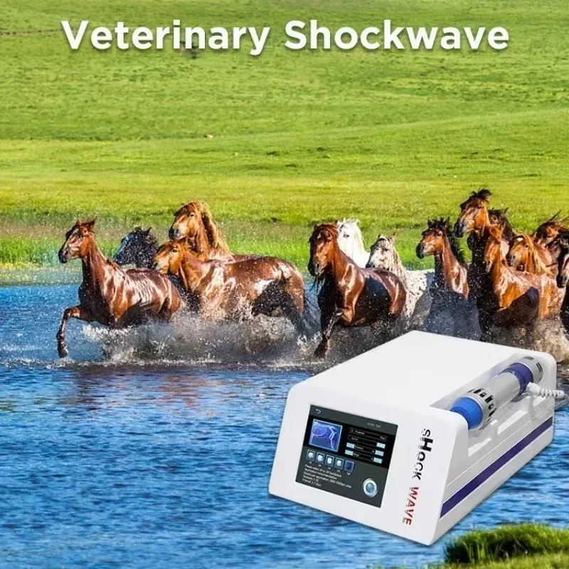 Shock Wave for Horse Extracorporeal Veterinary Shockwave Therapy Pain Relief Racecourse Use Professional Physiotherapy Machine