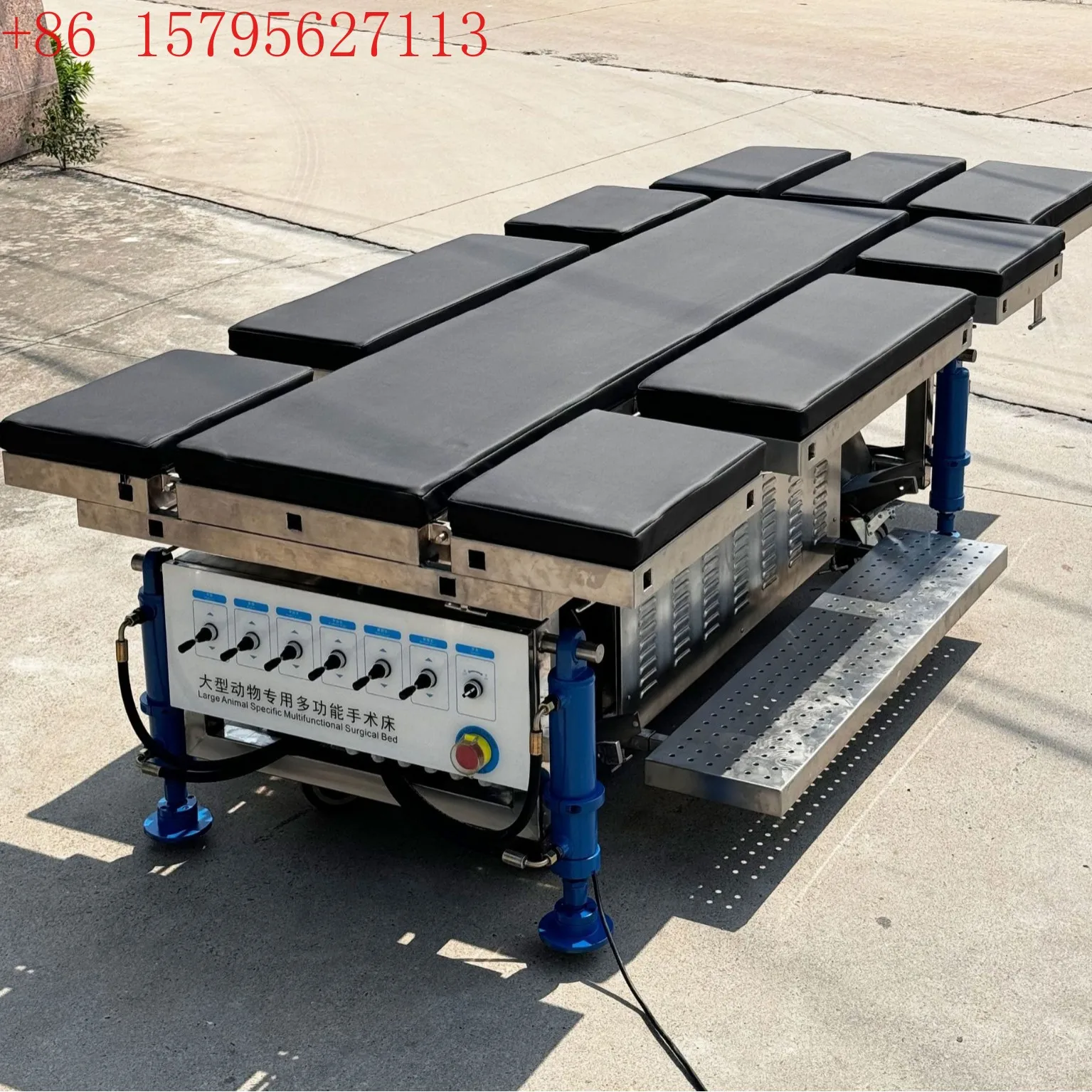 Large animal dissection table Simple autopsy table Pet operating table Multifunctional lifting test