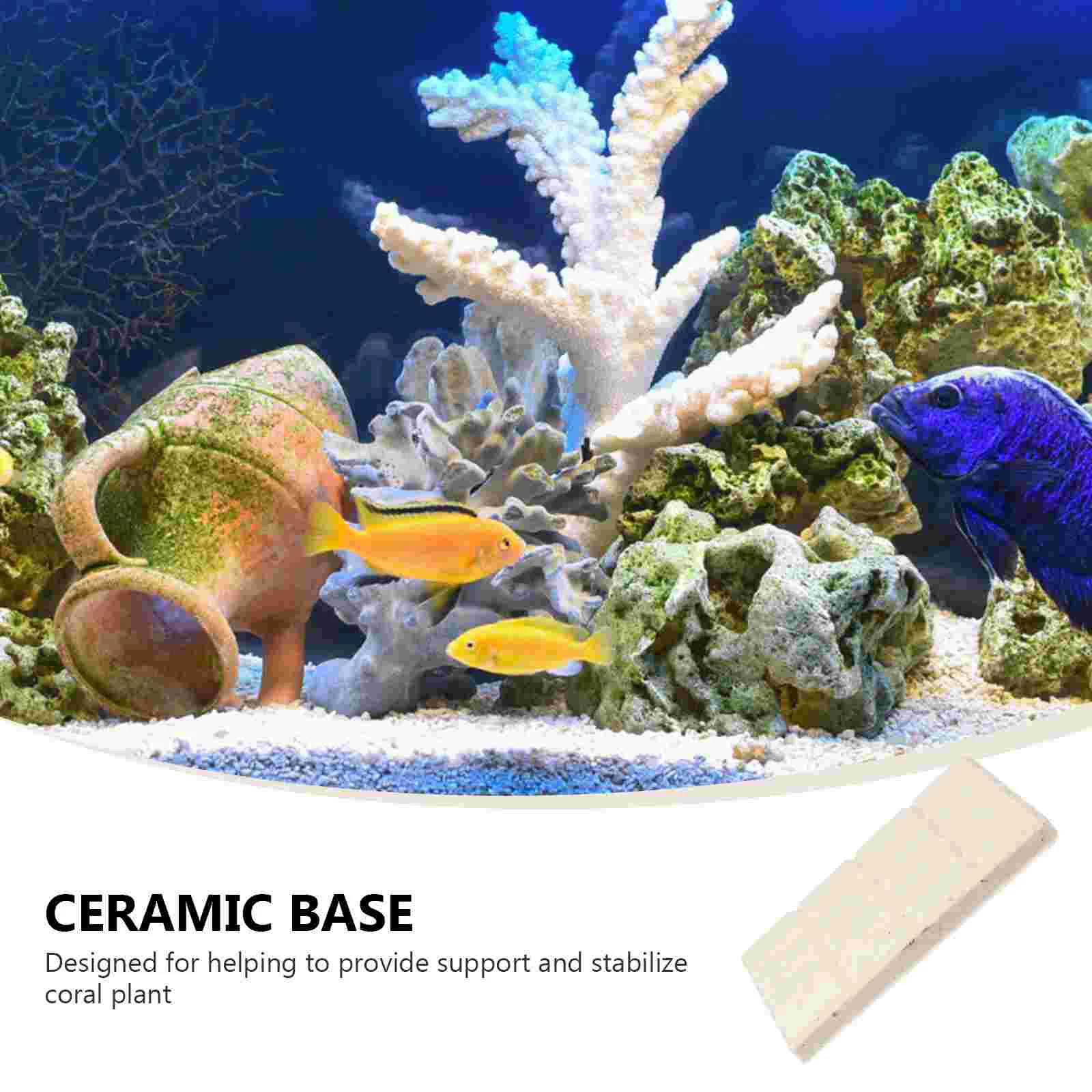 Fish Coral Fragment Base Tank Accessories Aquarium Supplies Pond Ceramics Support Man Plug