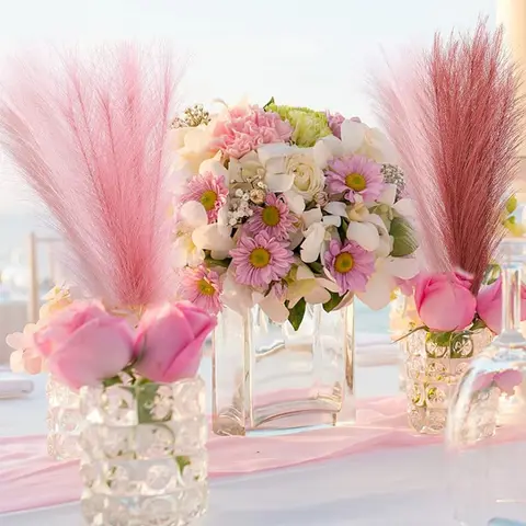 8 best sales शराबी पम्पास - №4