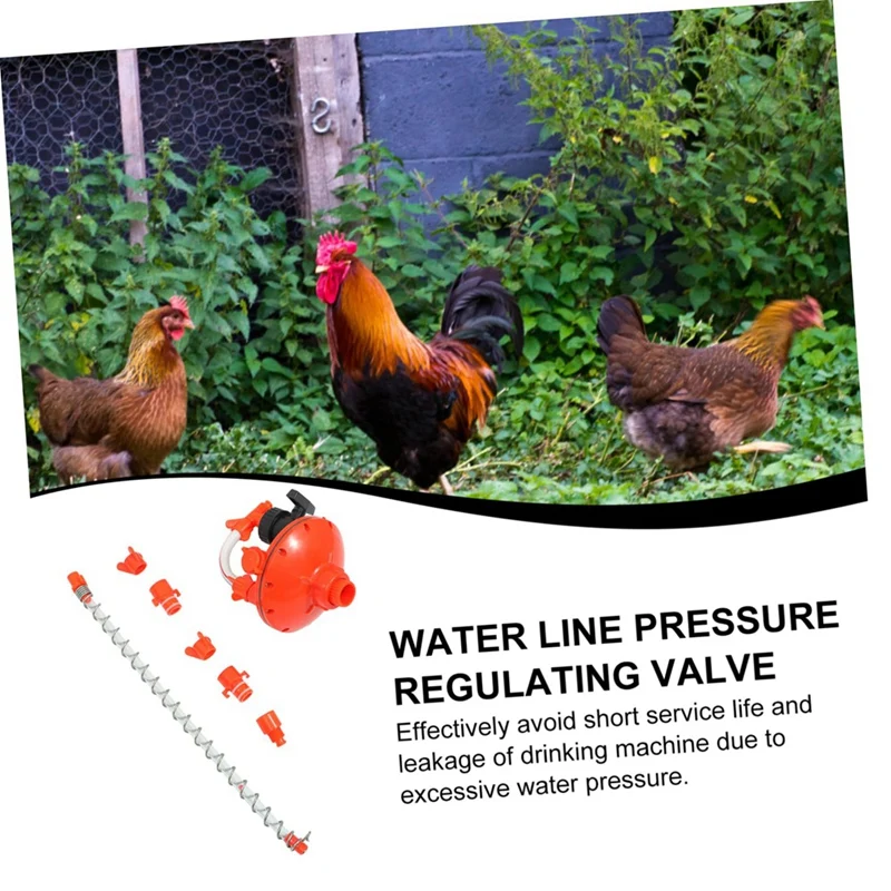 Regulator Water Line Pressure Regulating Valve Poultry Water Fountain Quail Waterer Bird Waterer Hens Water Dispenser