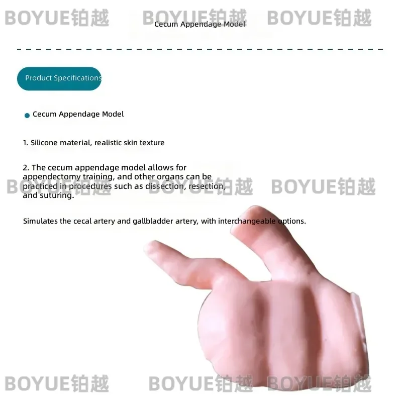 Silicone Human Appendix Model for Surgical Training Medical Teaching Simulation Organ Mold Cecum Resection Practice Tool