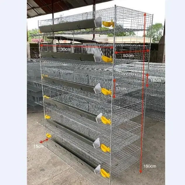 

Battery Poultry 4 Tier Cages for Rabbit Layer Chickens Egg Cages