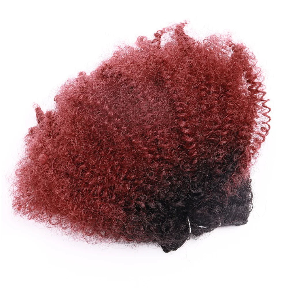 Synthetic Afro Curly Wave Hair Bundles with Closure for Women