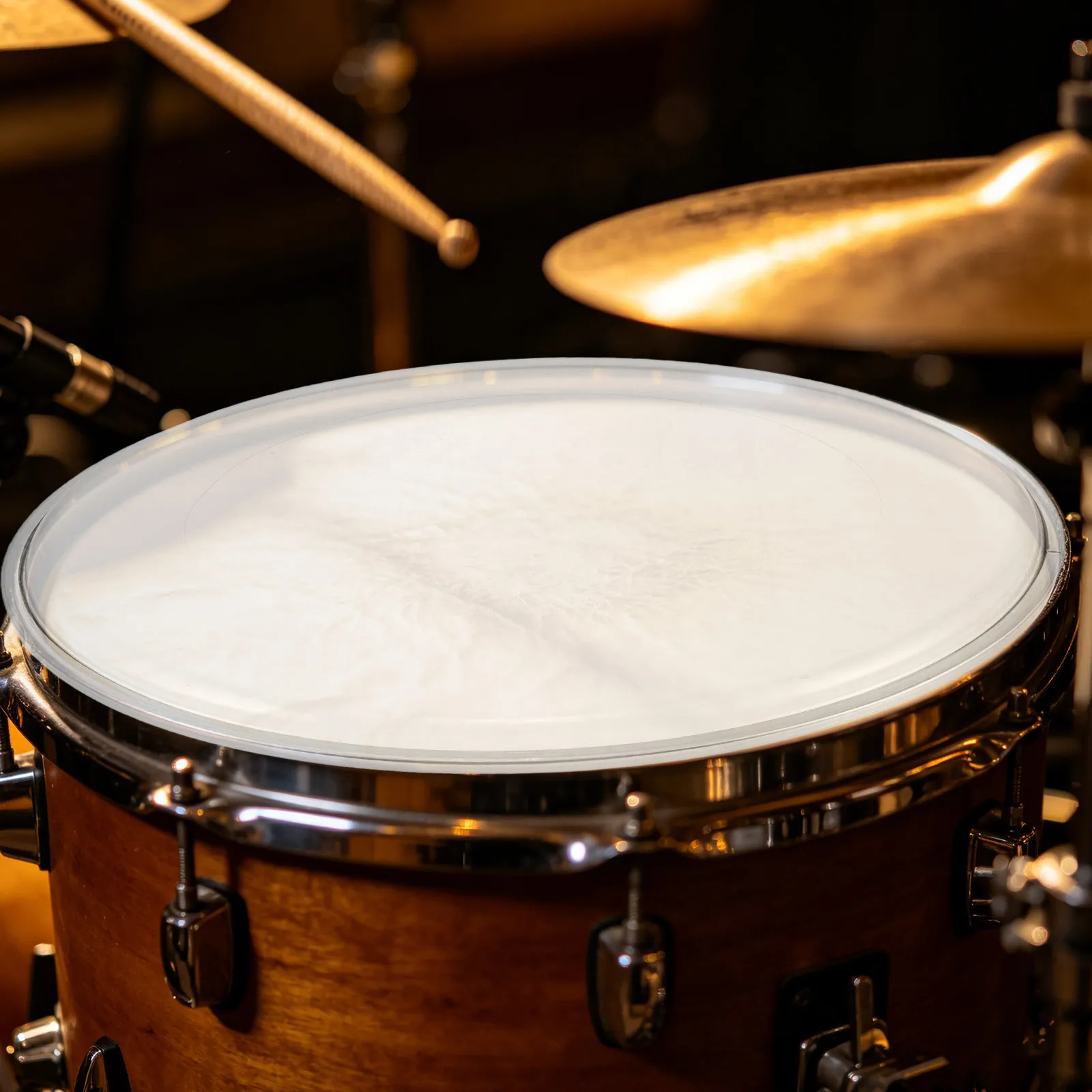 

12 Inch Snare Drum Head with Integrated Overtone Ring for Enhanced Tone Clarity Sustain and Responsive Tension Studio Stage Home