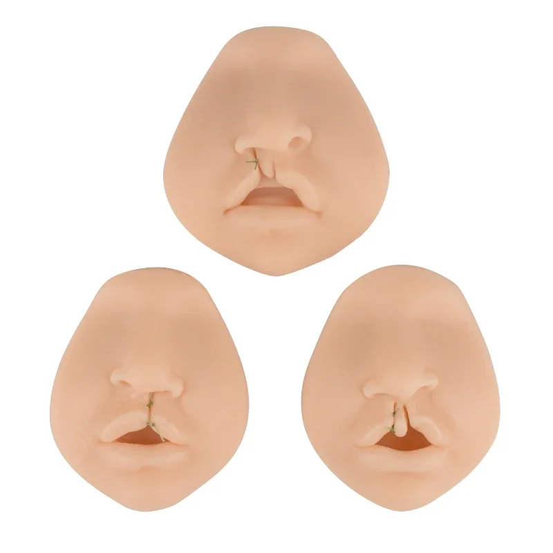 

cleft lip model medical student surgical mouth cleft lip joint exercise model