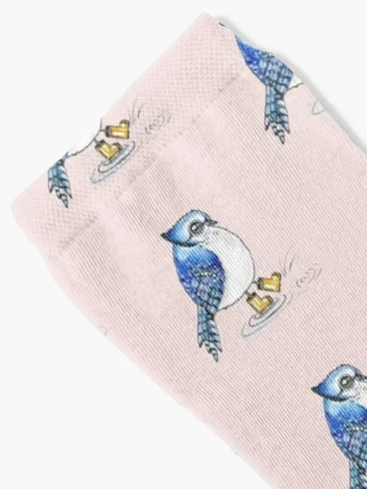 Blue Jay in rain boots Socks compression fashionable winter cartoon Boy Socks Women's