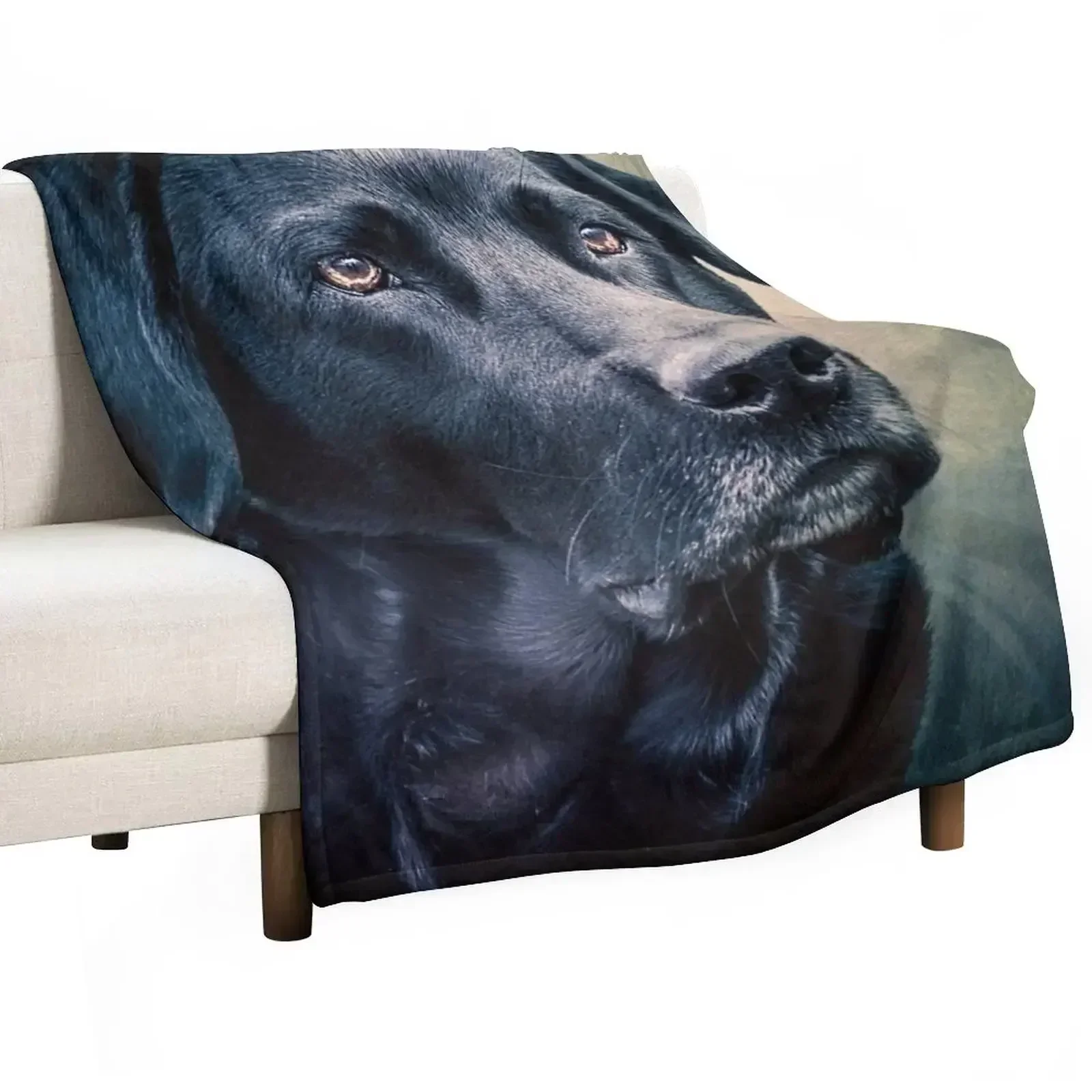Black Velvet - Labrador Throw Blanket Plaid on the sofa Soft Big Hairys Cute manga Cute Plaid Blankets