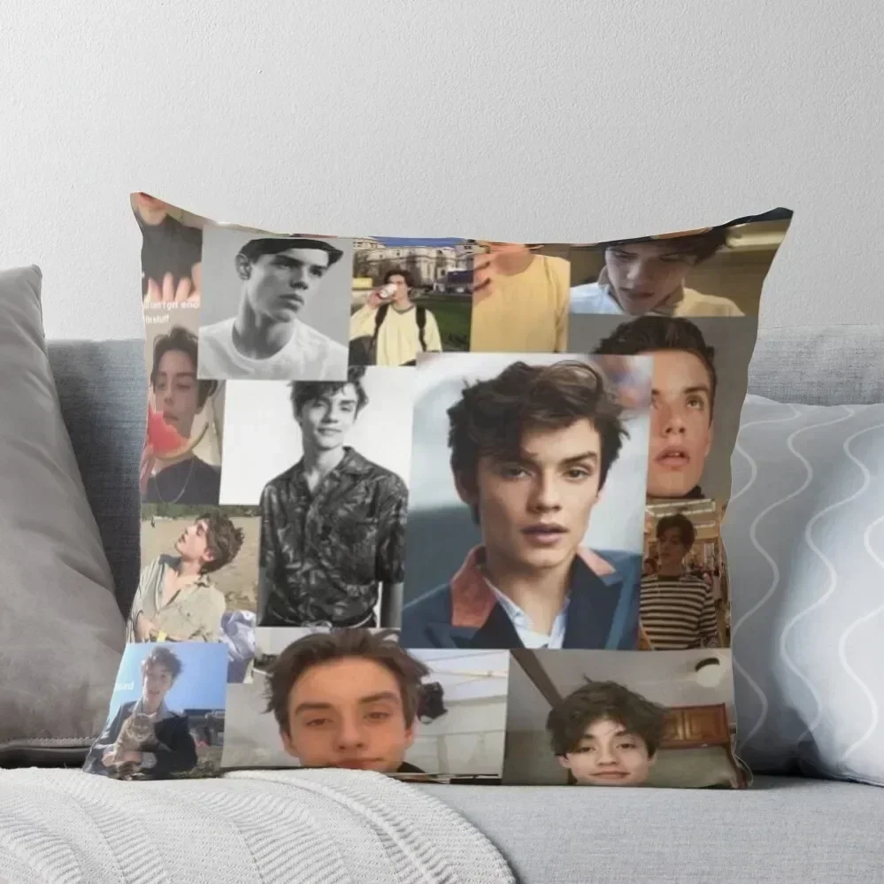 

Louis partridge collage Throw Pillow Decorative Sofa Cushions Cushions Cover pillow