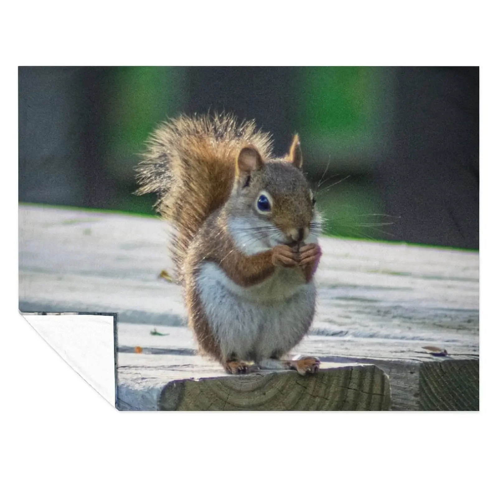 

Earl Jr (aka Toots) Throw Blanket for sofa Blankets For Bed Quilt Moving Blankets